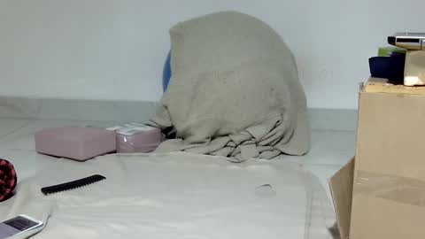 Snapshot of hostshairy chatting on 05-29-26, 06:55 Sally silly wily online show from 05-29-26, 06:55