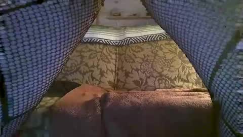 hot2nite22 online show from 02-10-26, 10:19