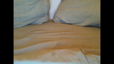 Snapshot of hot_lars chatting on 03-01-25, 11:26 Lars online show from 03-01-25, 11:26