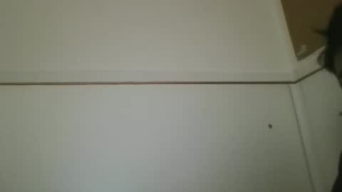 hotandwild2003 online show from 02-16-26, 03:08