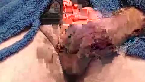 Snapshot of hotcam50 chatting on 12-07-24, 04:25 Hotcam50 online show from 12-07-24, 04:25