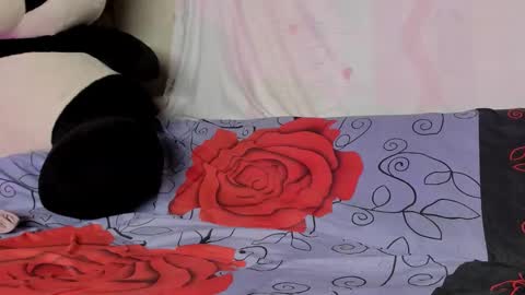 Snapshot of hotcherryxo chatting on 03-08-26, 06:17 Candy online show from 03-08-26, 06:17