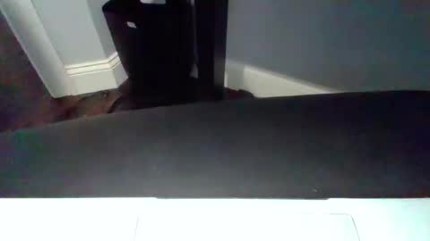 hotdog1124 online show from 11-03-25, 12:17