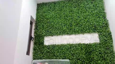hotfallingdevil online show from 05-13-26, 04:32
