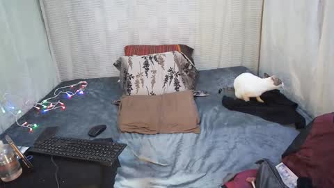 Snapshot of hottiedanicatrans69 chatting on 05-18-26, 08:58 hottiedanicatrans69 online show from 05-18-26, 08:58