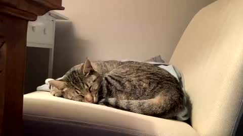 hottiewithabody101 online show from 02-11-26, 02:44