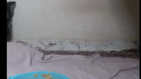 hottylissa1 online show from 09-26-25, 08:35