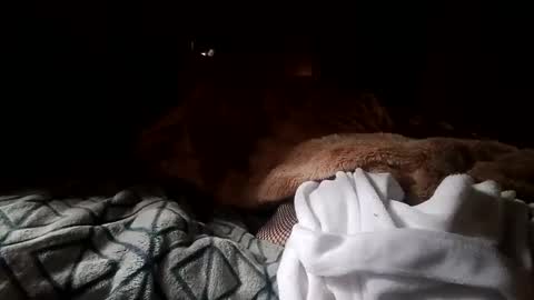Snapshot of houndmefromhell chatting on 12-25-24, 04:22 houndmefromhell online show from 12-25-24, 04:22