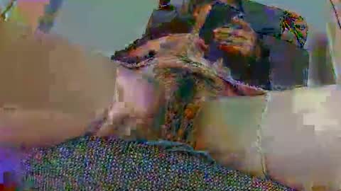 hujiajia520321431 online show from 11-10-25, 11:53