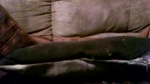 hung420boner online show from 03-03-26, 05:41