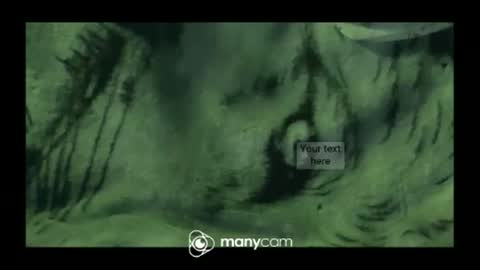 hung420boner online show from 03-10-26, 03:28