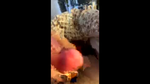 Snapshot of hungminer69 chatting on 04-12-26, 01:43 hungminer69 online show from 04-12-26, 01:43