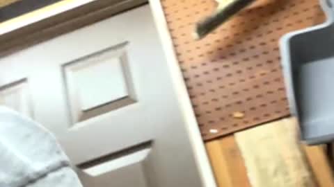 Snapshot of huskey300 chatting on 02-04-26, 10:26 huskey300 online show from 02-04-26, 10:26