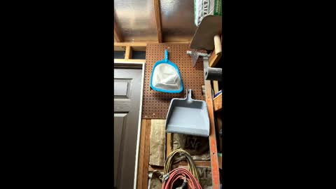 huskey300 online show from 03-06-26, 02:19