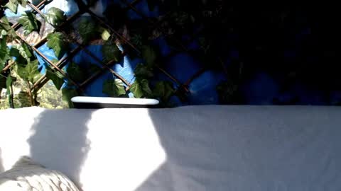 Kayla online show from 03-03-25, 08:38