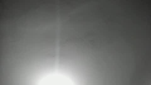 NAHO online show from 03-08-26, 11:19