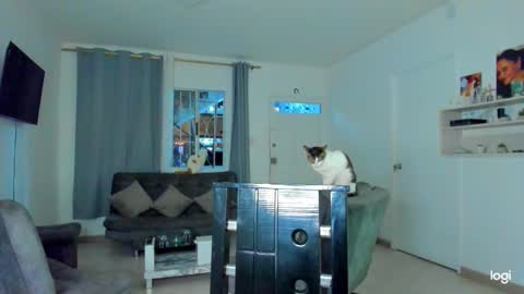 Snapshot of iam_your_fantasy chatting on 12-04-25, 12:09 iam_your_fantasy online show from 12-04-25, 12:09