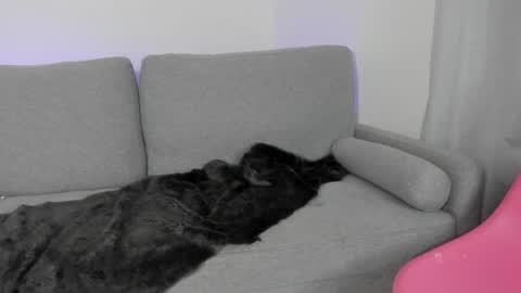    online show from 04-30-26, 01:34