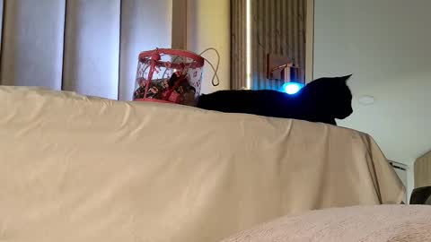 Nyxy online show from 11-20-25, 10:04