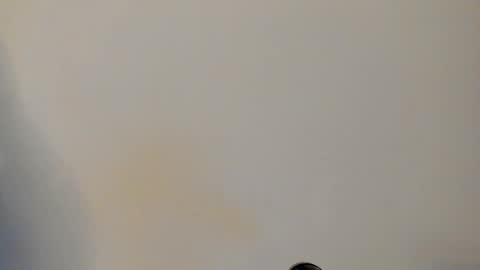 Snapshot of ian_castillo_ chatting on 02-24-26, 11:08 IAN CASTILLO online show from 02-24-26, 11:08