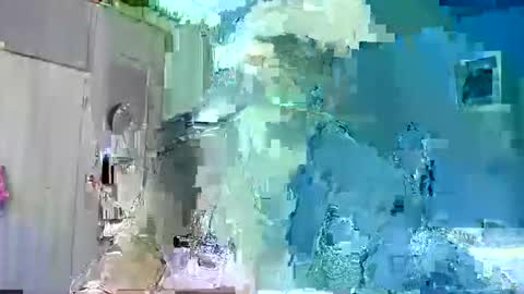 Ian Snake online show from 01-17-26, 03:33