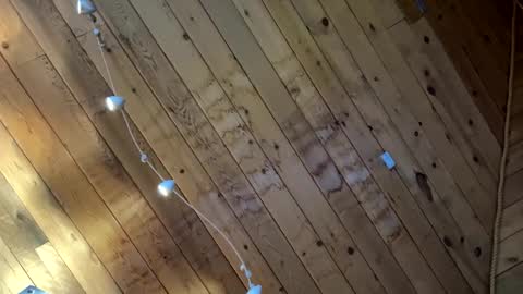 icanmakeyousquirt69 online show from 03-17-26, 09:18