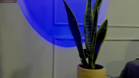 Crystall online show from 10-02-25, 04:41