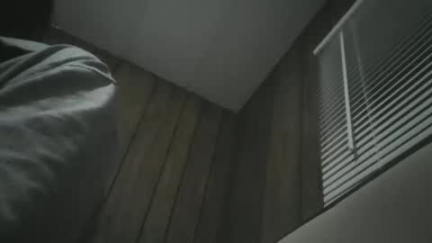 Snapshot of igasu chatting on 11-27-25, 04:47 igasu online show from 11-27-25, 04:47