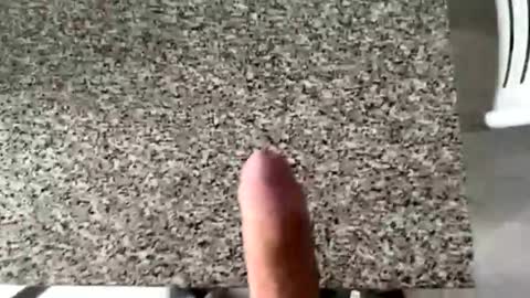 ilconte81 online show from 03-10-26, 02:33