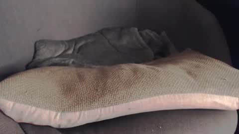 MR Marathon online show from 10-25-25, 05:15