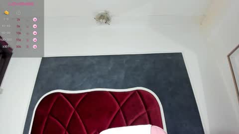 illegal_lorry online show from 12-12-24, 10:56