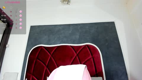 illegal_lorry online show from 12-20-24, 10:49
