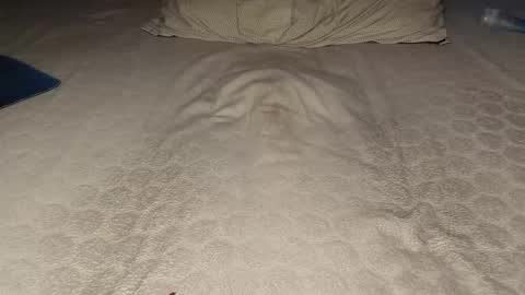 ilona4u online show from 03-23-26, 09:08