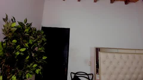 Snapshot of im_felixhunter chatting on 05-01-26, 11:48 FELIX online show from 05-01-26, 11:48