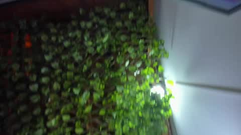 Snapshot of im_xandersmith chatting on 05-26-26, 08:38 im_xandersmith online show from 05-26-26, 08:38