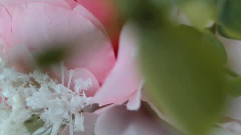 Snapshot of imcarrieberry chatting on 02-22-25, 05:24 Carrie online show from 02-22-25, 05:24