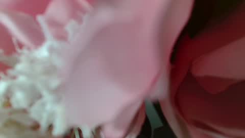 Snapshot of imcarrieberry chatting on 02-25-25, 05:25 Carrie online show from 02-25-25, 05:25