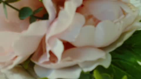 Snapshot of imcarrieberry chatting on 03-01-25, 07:15 Carrie online show from 03-01-25, 07:15