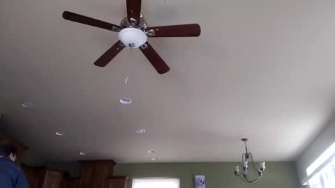 Snapshot of iminyourroom chatting on 01-31-25, 08:22 Iminyourroom online show from 01-31-25, 08:22