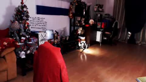 Empress online show from 12-21-24, 03:36