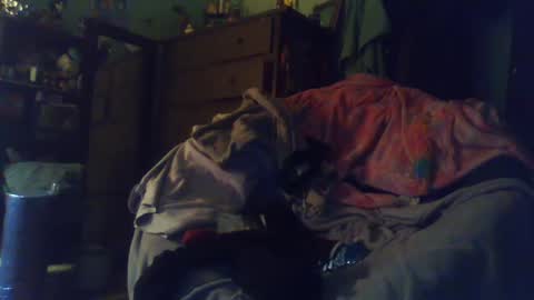 indigo_scorpio online show from 02-24-25, 12:52