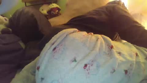 indigo_scorpio online show from 11-28-25, 05:43