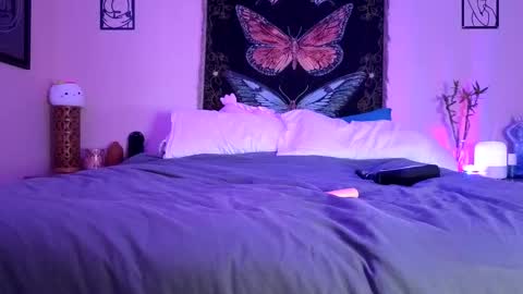 Indigo Bay online show from 02-14-26, 02:30