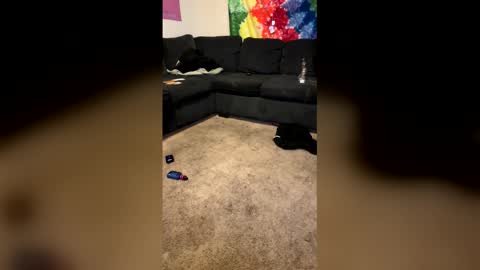 InfamousLibby  Linktree  online show from 02-08-26, 10:18