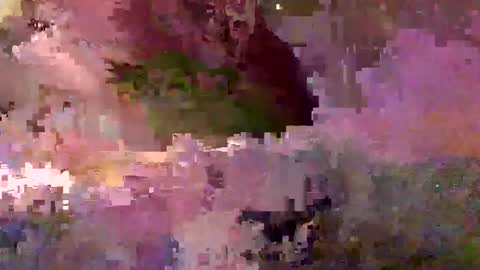 inhertube15 online show from 12-28-24, 10:03