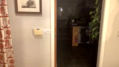 Snapshot of inkpiggy chatting on 02-20-26, 12:51 inkpiggy online show from 02-20-26, 12:51