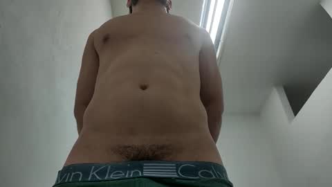 Snapshot of insistente chatting on 02-11-26, 03:39 INSTAGRAM camilodlx online show from 02-11-26, 03:39