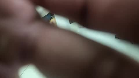 Snapshot of insistente chatting on 03-08-26, 09:29 INSTAGRAM camilodlx online show from 03-08-26, 09:29