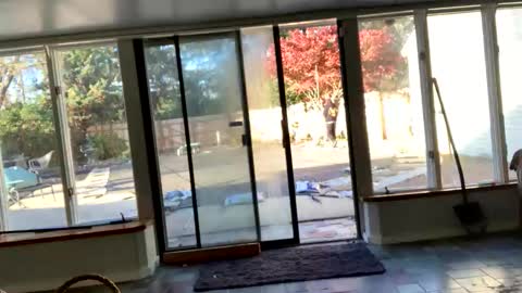 Snapshot of intothewoodswego chatting on 11-13-25, 08:30 IntoTheWoodsWeGo online show from 11-13-25, 08:30