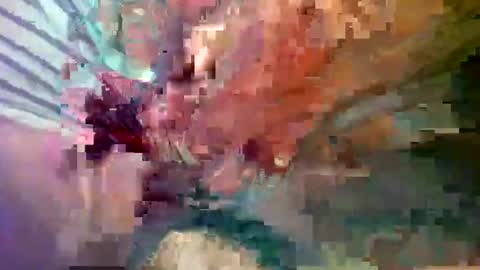 ipuck55 online show from 12-14-24, 08:18